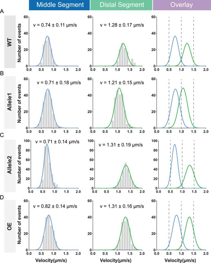 https://cdn.ncbi.nlm.nih.gov/pmc/blobs/1b4a/12158429/b49eb1a17e4b/elife-103648-fig5-figsupp1.jpg