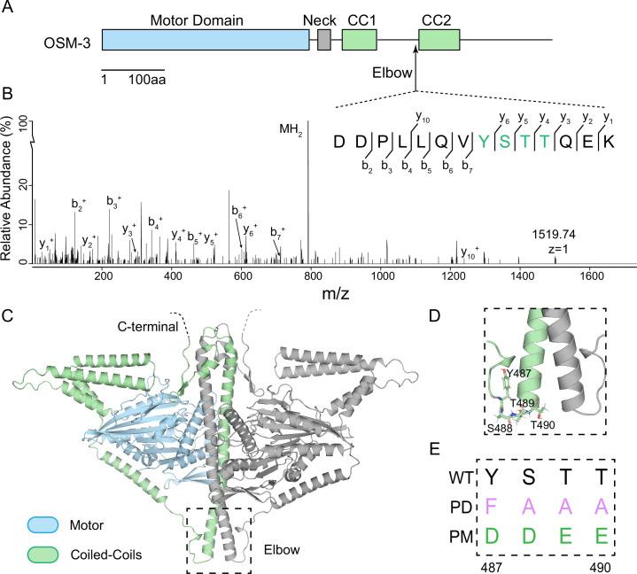https://cdn.ncbi.nlm.nih.gov/pmc/blobs/1b4a/12158429/d029e9da5c5d/elife-103648-fig1.jpg