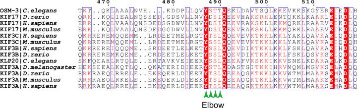 https://cdn.ncbi.nlm.nih.gov/pmc/blobs/1b4a/12158429/faebb8295f19/elife-103648-fig1-figsupp1.jpg
