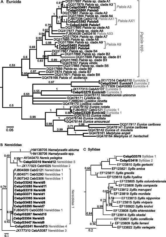 https://cdn.ncbi.nlm.nih.gov/pmc/blobs/1b4a/4730619/f23060ca6e72/12862_2016_592_Fig1_HTML.jpg