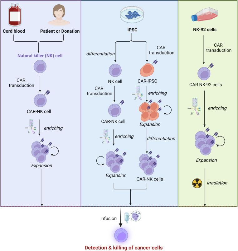 https://cdn.ncbi.nlm.nih.gov/pmc/blobs/1b4b/12141315/ab563b27825d/fimmu-16-1600411-g003.jpg