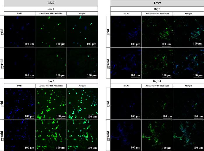 https://cdn.ncbi.nlm.nih.gov/pmc/blobs/1b4c/12120624/27c888595ef8/ao4c11383_0009.jpg