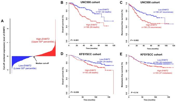 https://cdn.ncbi.nlm.nih.gov/pmc/blobs/1b4d/6254934/4cdd38f9271e/IJO-54-01-0065-g01.jpg