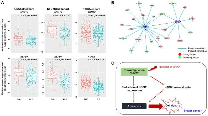 https://cdn.ncbi.nlm.nih.gov/pmc/blobs/1b4d/6254934/65b07cae1288/IJO-54-01-0065-g06.jpg