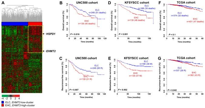 https://cdn.ncbi.nlm.nih.gov/pmc/blobs/1b4d/6254934/ec7dae996ebd/IJO-54-01-0065-g04.jpg