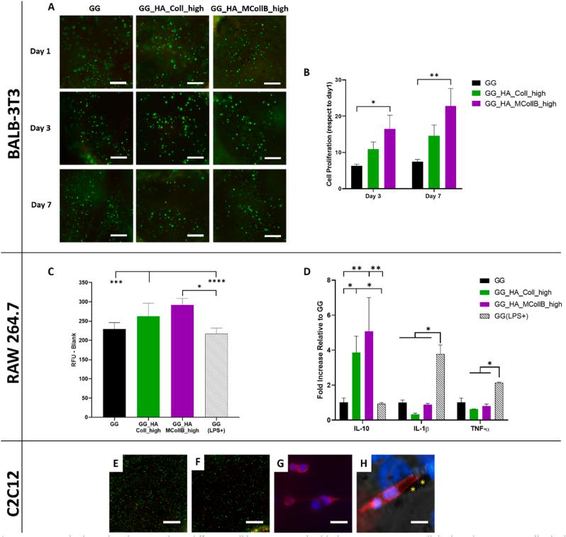 https://cdn.ncbi.nlm.nih.gov/pmc/blobs/1b4e/11360152/11f766a708a6/gr4.jpg