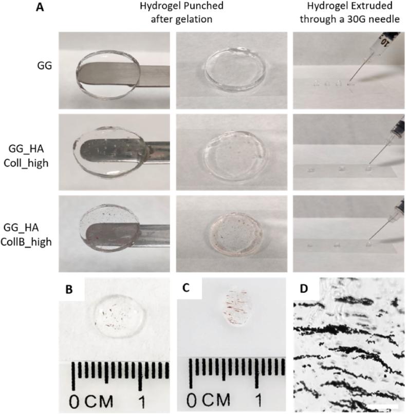 https://cdn.ncbi.nlm.nih.gov/pmc/blobs/1b4e/11360152/b69be438de3d/gr2.jpg
