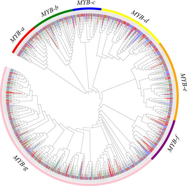 https://cdn.ncbi.nlm.nih.gov/pmc/blobs/1b4f/7527954/a29a61d9b053/41438_2020_382_Fig6_HTML.jpg