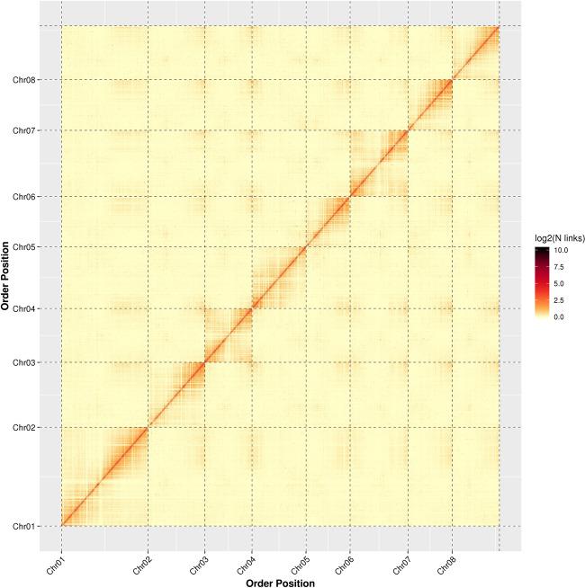 https://cdn.ncbi.nlm.nih.gov/pmc/blobs/1b4f/7527954/e1b27b3d0476/41438_2020_382_Fig2_HTML.jpg