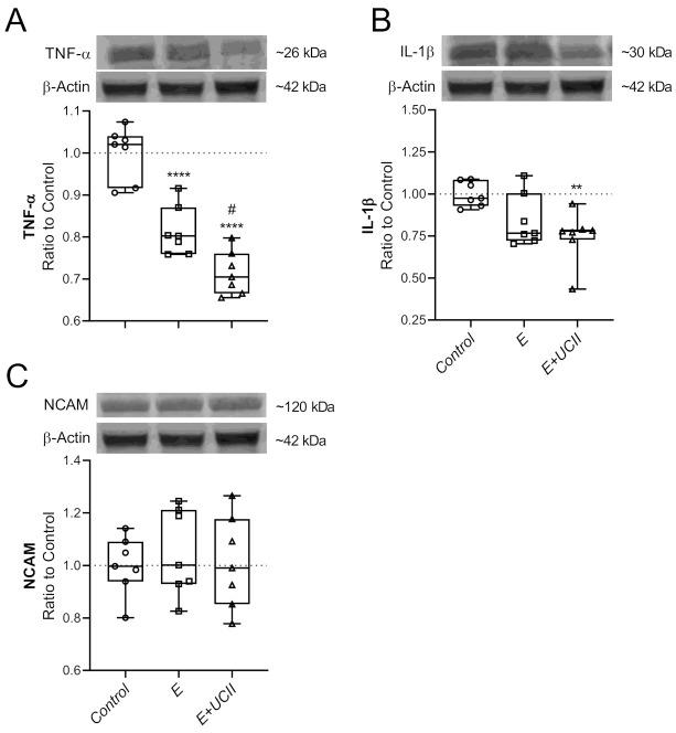 https://cdn.ncbi.nlm.nih.gov/pmc/blobs/1b4f/8002679/13ff4629569d/animals-11-00851-g006.jpg