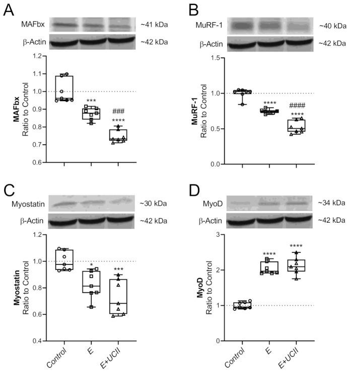https://cdn.ncbi.nlm.nih.gov/pmc/blobs/1b4f/8002679/a0e27914385f/animals-11-00851-g005.jpg