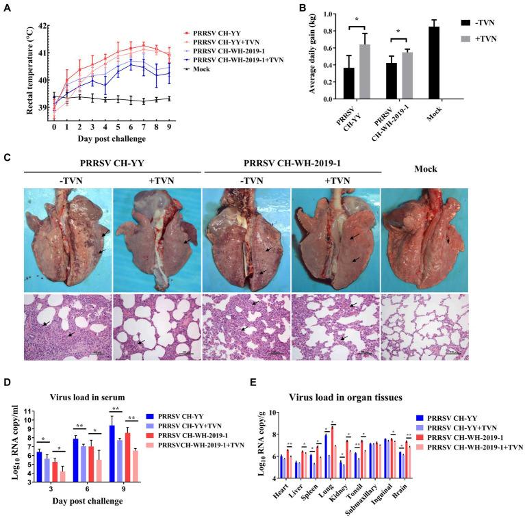 https://cdn.ncbi.nlm.nih.gov/pmc/blobs/1b50/10440737/70c542d2c07f/fvets-10-1242146-g003.jpg