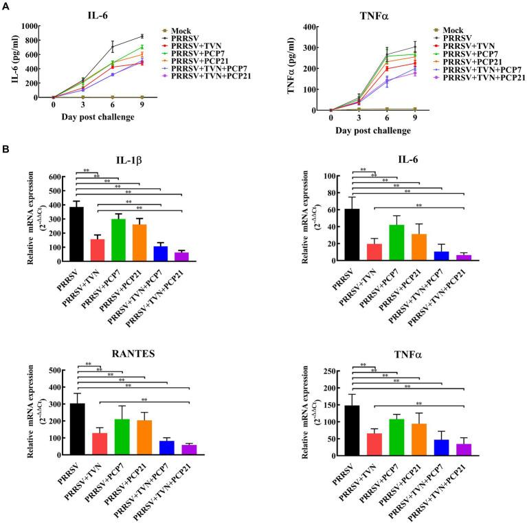 https://cdn.ncbi.nlm.nih.gov/pmc/blobs/1b50/10440737/da148b9e1438/fvets-10-1242146-g005.jpg