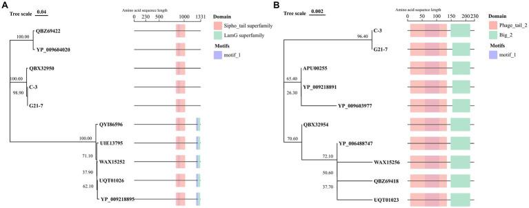 https://cdn.ncbi.nlm.nih.gov/pmc/blobs/1b50/11221357/ec304e94a88e/fmicb-15-1385860-g005.jpg