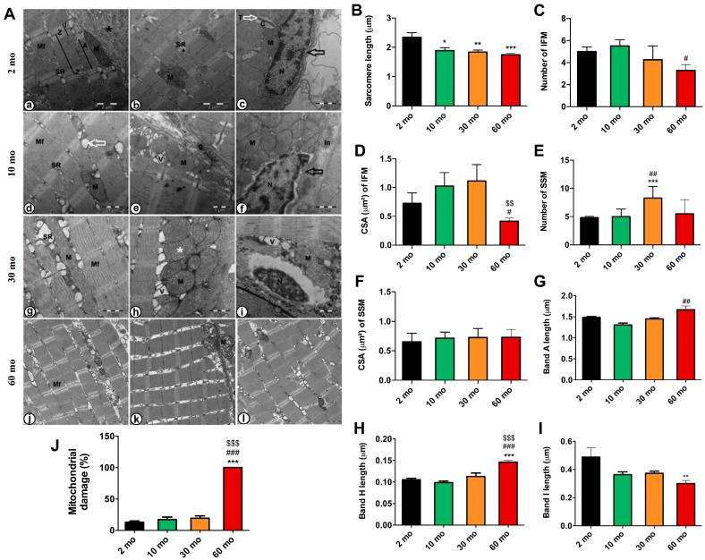 https://cdn.ncbi.nlm.nih.gov/pmc/blobs/1b52/11172448/20492dc5df94/ijms-25-06166-g004.jpg