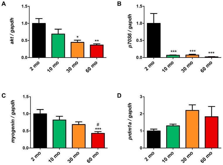 https://cdn.ncbi.nlm.nih.gov/pmc/blobs/1b52/11172448/95070009a7d4/ijms-25-06166-g003.jpg