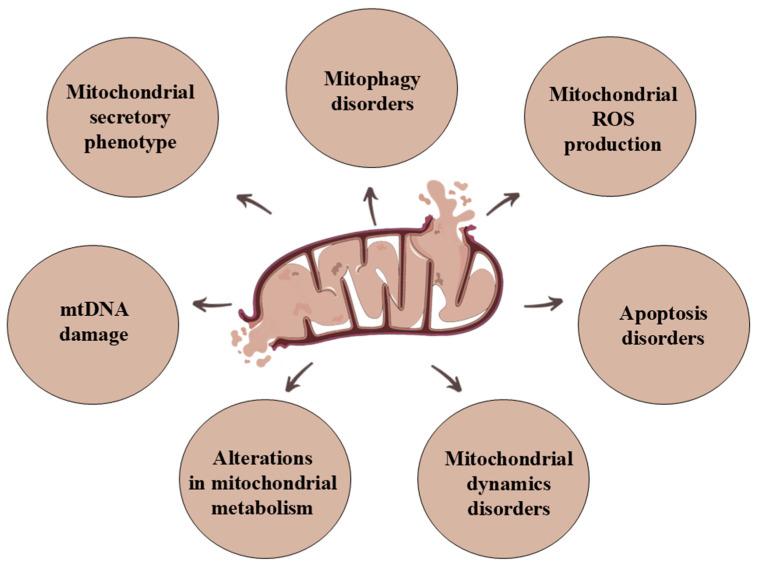 https://cdn.ncbi.nlm.nih.gov/pmc/blobs/1b53/11431519/3375168a29fa/genes-15-01153-g003.jpg