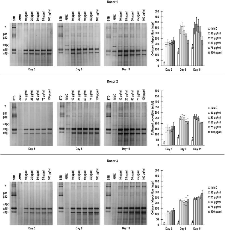 https://cdn.ncbi.nlm.nih.gov/pmc/blobs/1b53/11993840/40d98fc84ed0/gr1.jpg