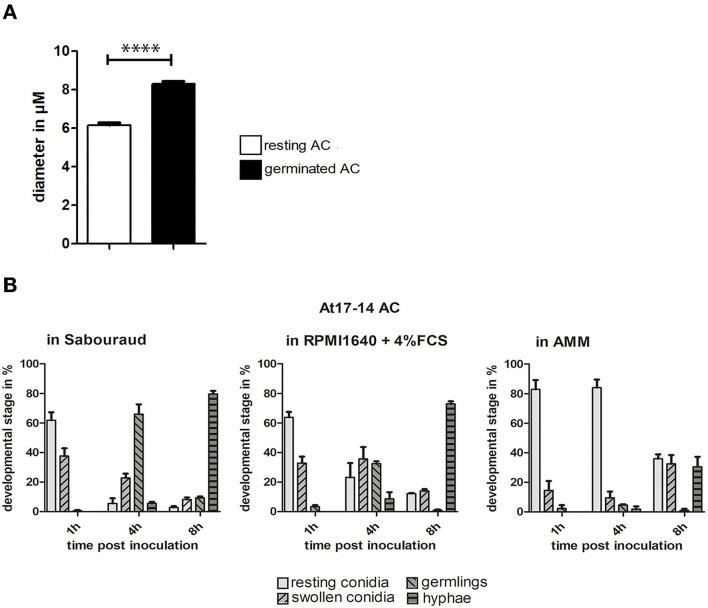 https://cdn.ncbi.nlm.nih.gov/pmc/blobs/1b54/9245049/8f6174424c0d/fmicb-13-896145-g0004.jpg