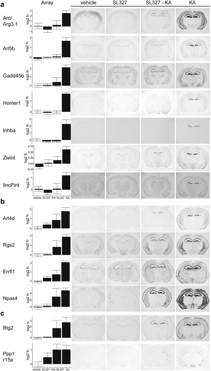 https://cdn.ncbi.nlm.nih.gov/pmc/blobs/1b56/5368636/675f3951aff7/srep45101-f5.jpg
