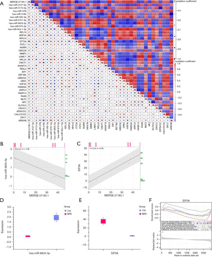 https://cdn.ncbi.nlm.nih.gov/pmc/blobs/1b56/9834945/1b49a235a478/tp-11-12-2004-f5.jpg