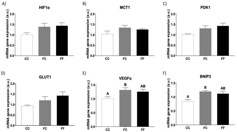 https://cdn.ncbi.nlm.nih.gov/pmc/blobs/1b57/11431301/dcacd3132642/foods-13-02944-g004.jpg