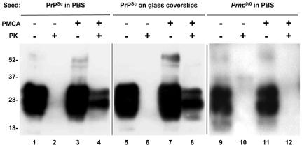 https://cdn.ncbi.nlm.nih.gov/pmc/blobs/1b57/2773113/2e74957516f2/pone.0007816.g004.jpg