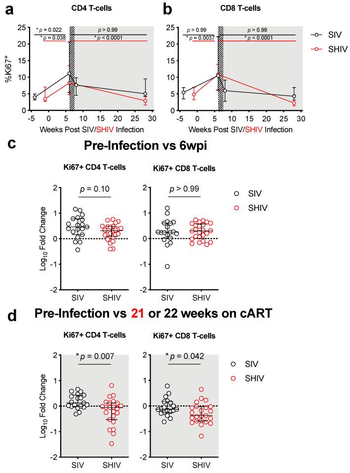 https://cdn.ncbi.nlm.nih.gov/pmc/blobs/1b59/8402906/8f8793f05ee0/viruses-13-01609-g005.jpg