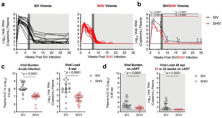 https://cdn.ncbi.nlm.nih.gov/pmc/blobs/1b59/8402906/e09dc4758e36/viruses-13-01609-g002.jpg