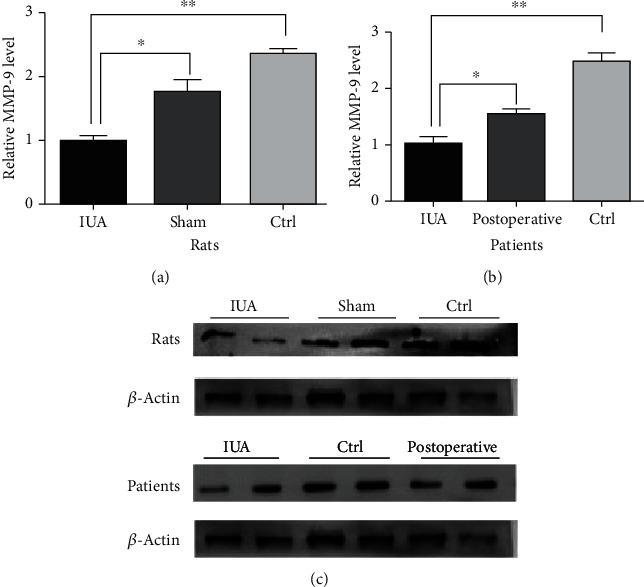 https://cdn.ncbi.nlm.nih.gov/pmc/blobs/1b5a/7864746/bd187e866228/MI2021-6676510.005.jpg