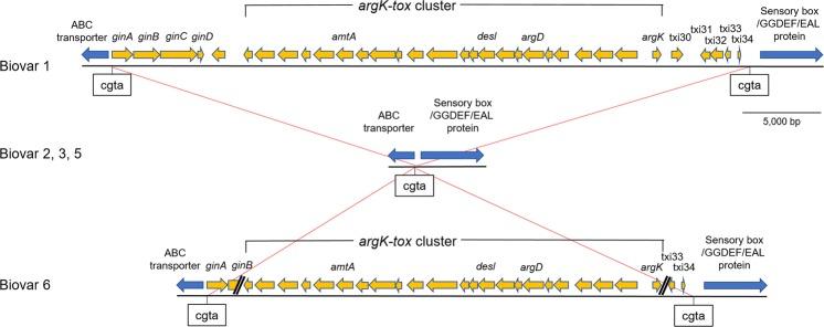 https://cdn.ncbi.nlm.nih.gov/pmc/blobs/1b5c/6405952/33879a0011d1/41598_2019_40754_Fig2_HTML.jpg