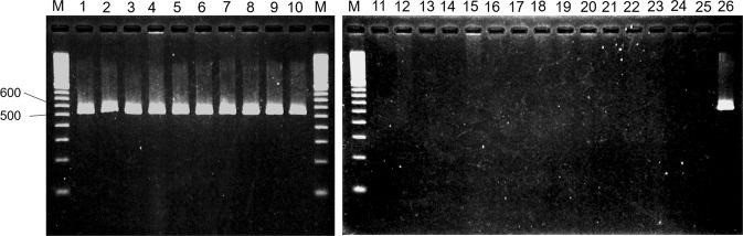 https://cdn.ncbi.nlm.nih.gov/pmc/blobs/1b5c/6405952/7a93fb17cb6c/41598_2019_40754_Fig4_HTML.jpg