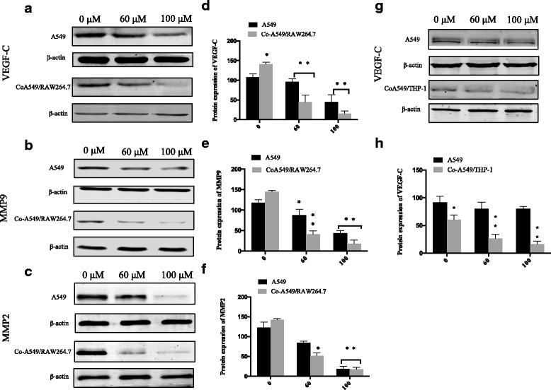 https://cdn.ncbi.nlm.nih.gov/pmc/blobs/1b5d/5963019/4685c70af3ae/12885_2018_4299_Fig5_HTML.jpg