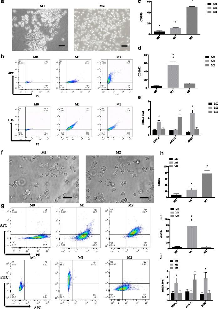 https://cdn.ncbi.nlm.nih.gov/pmc/blobs/1b5d/5963019/bd5a658dddc8/12885_2018_4299_Fig1_HTML.jpg