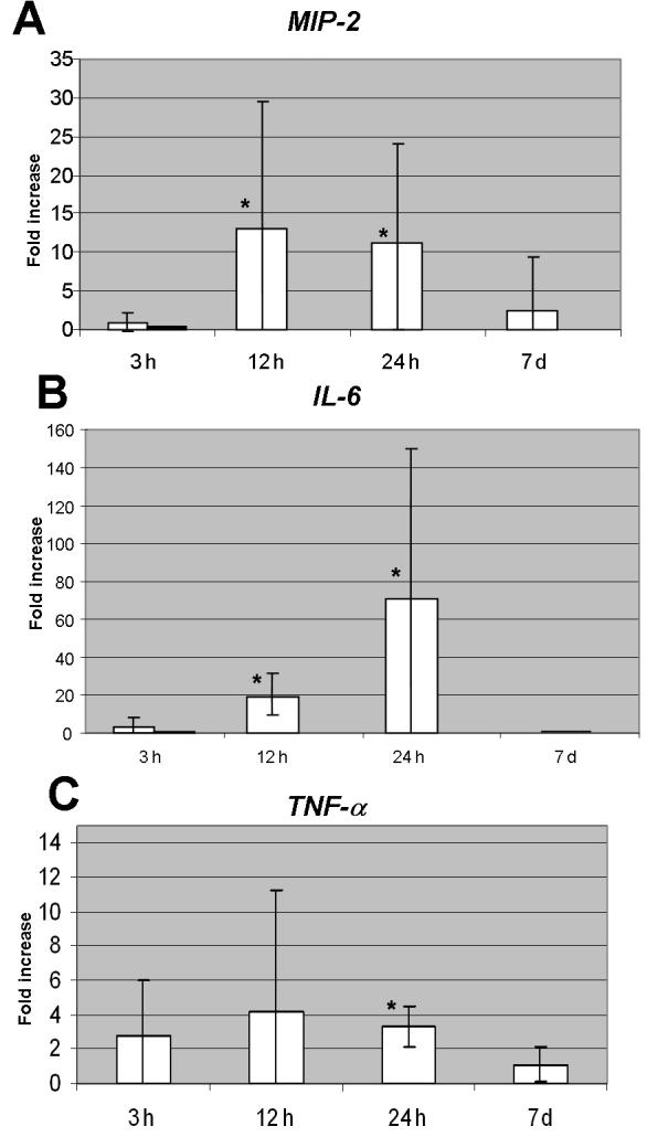 https://cdn.ncbi.nlm.nih.gov/pmc/blobs/1b5e/2676200/c7e4b3c2ea9c/mv-v15-885-f1.jpg