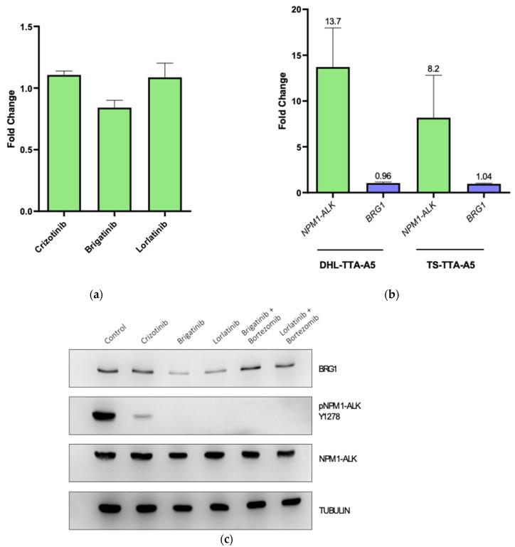 https://cdn.ncbi.nlm.nih.gov/pmc/blobs/1b5f/8750310/4fa82e87614d/cancers-14-00151-g003.jpg