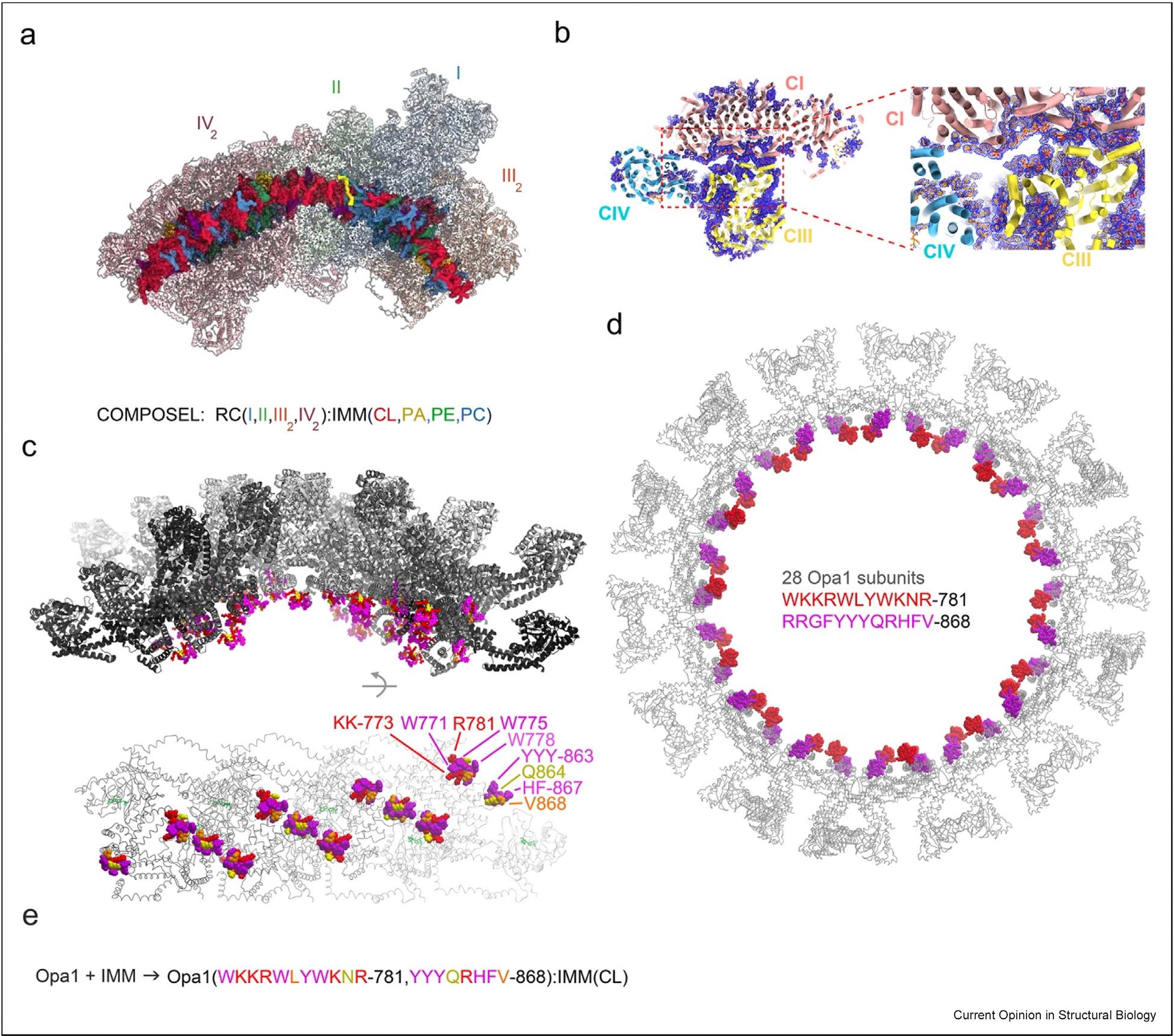 https://cdn.ncbi.nlm.nih.gov/pmc/blobs/1b63/12408116/6a40c98d5298/nihms-2105406-f0004.jpg