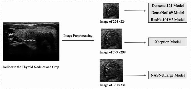 https://cdn.ncbi.nlm.nih.gov/pmc/blobs/1b64/10668439/562d2571ddb4/12885_2023_11456_Fig2_HTML.jpg