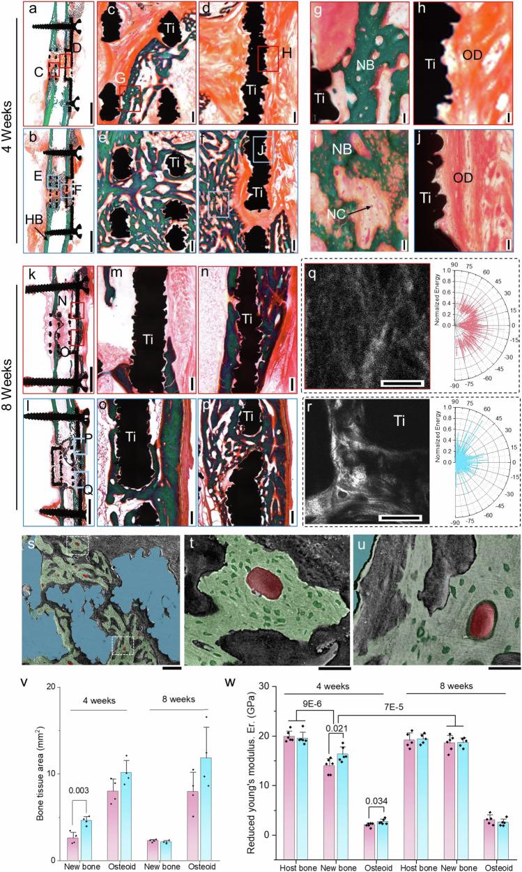 https://cdn.ncbi.nlm.nih.gov/pmc/blobs/1b64/11880532/3c47f8ba3814/41467_2025_57609_Fig4_HTML.jpg