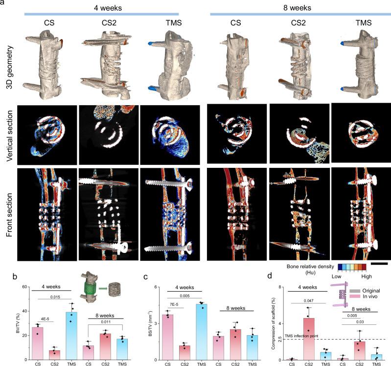 https://cdn.ncbi.nlm.nih.gov/pmc/blobs/1b64/11880532/6a139addb9b6/41467_2025_57609_Fig3_HTML.jpg