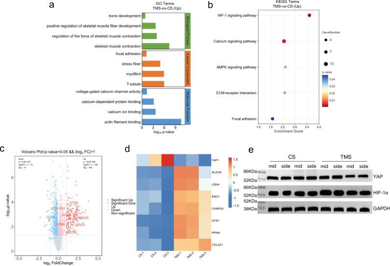 https://cdn.ncbi.nlm.nih.gov/pmc/blobs/1b64/11880532/9f547a512ccd/41467_2025_57609_Fig5_HTML.jpg