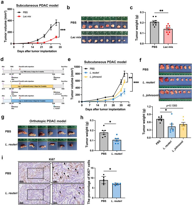 https://cdn.ncbi.nlm.nih.gov/pmc/blobs/1b65/11853549/1897a01961cb/KGMI_A_2470372_F0005_OC.jpg