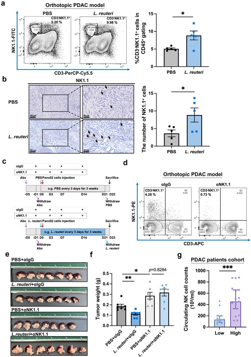 https://cdn.ncbi.nlm.nih.gov/pmc/blobs/1b65/11853549/1ae9b091c9b5/KGMI_A_2470372_F0006_OC.jpg
