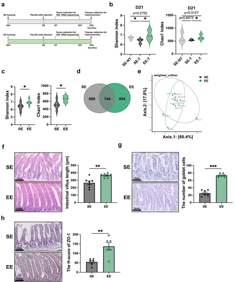 https://cdn.ncbi.nlm.nih.gov/pmc/blobs/1b65/11853549/9082cd755ef9/KGMI_A_2470372_F0002_OC.jpg