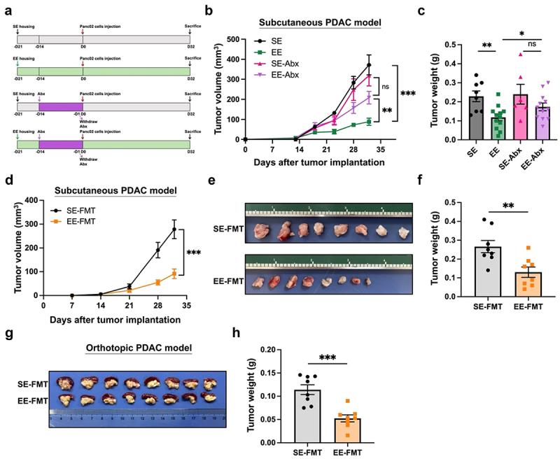 https://cdn.ncbi.nlm.nih.gov/pmc/blobs/1b65/11853549/c5096b85d427/KGMI_A_2470372_F0001_OC.jpg