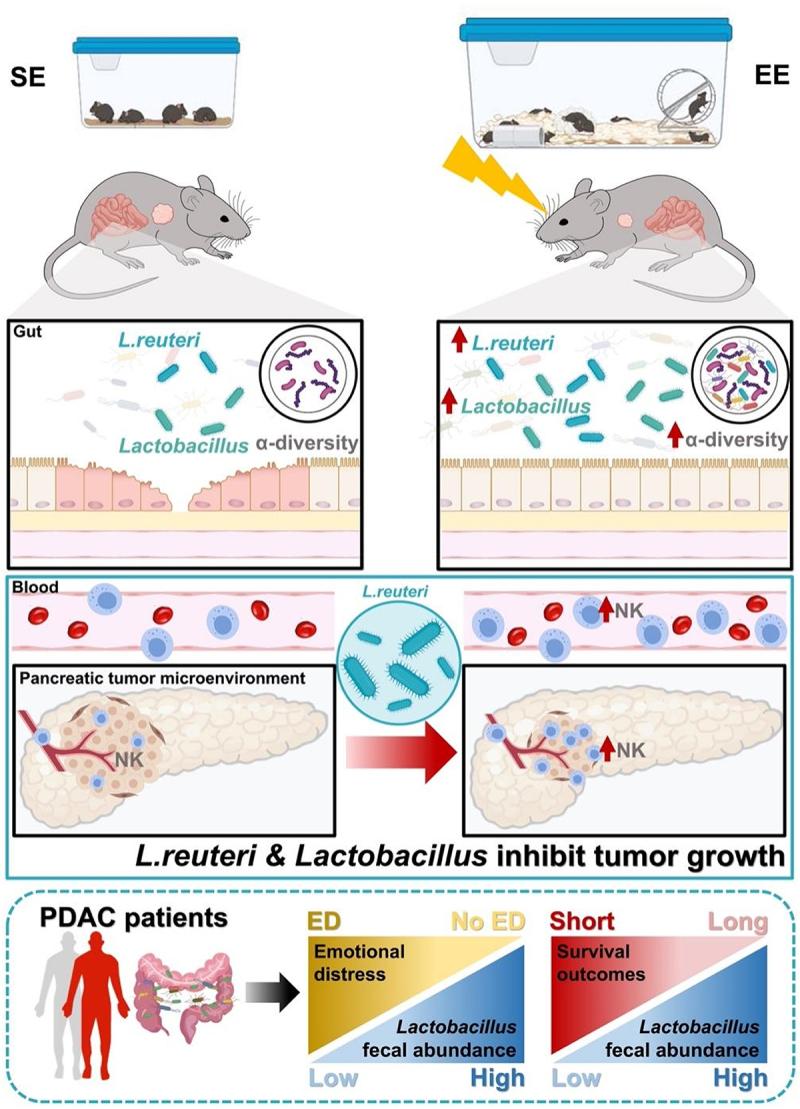 https://cdn.ncbi.nlm.nih.gov/pmc/blobs/1b65/11853549/d807066fce36/KGMI_A_2470372_F0007_OC.jpg