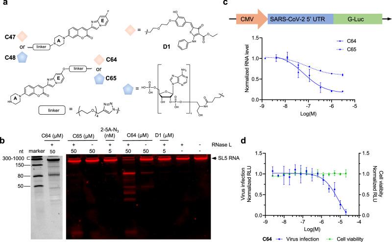 https://cdn.ncbi.nlm.nih.gov/pmc/blobs/1b66/11711761/982309a19823/41467_2024_55608_Fig4_HTML.jpg