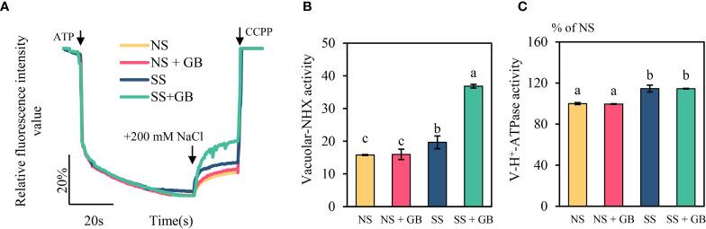 https://cdn.ncbi.nlm.nih.gov/pmc/blobs/1b66/9562920/95417ccd8f1e/fpls-13-978304-g005.jpg