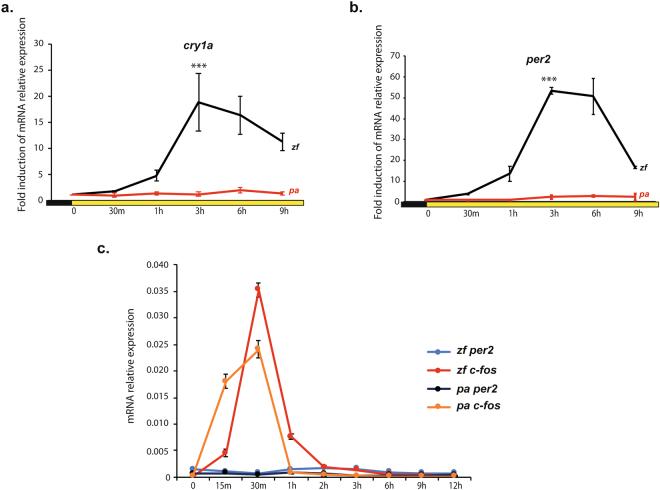 https://cdn.ncbi.nlm.nih.gov/pmc/blobs/1b68/5993827/619f25679f08/41598_2018_27080_Fig1_HTML.jpg