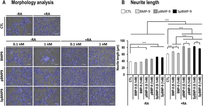 https://cdn.ncbi.nlm.nih.gov/pmc/blobs/1b69/5498665/6de9dd63d789/41598_2017_4835_Fig3_HTML.jpg